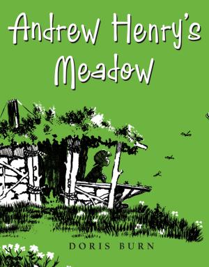 Cover of the book Andrew Henry's Meadow by Henry Winkler, Lin Oliver