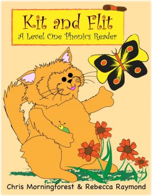 Book cover of Kit and Flit - A Level One Phonics Reader