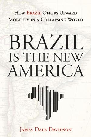 Cover of the book Brazil Is the New America by Marilena Furno, Domenico Vistocco