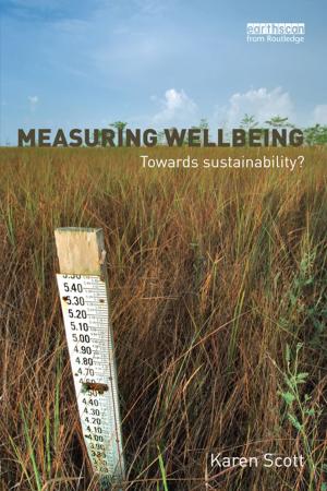 Book cover of Measuring Wellbeing: Towards Sustainability?