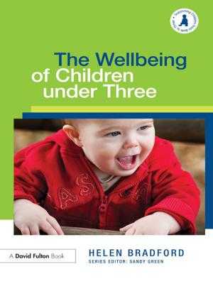 Book cover of The Wellbeing of Children under Three