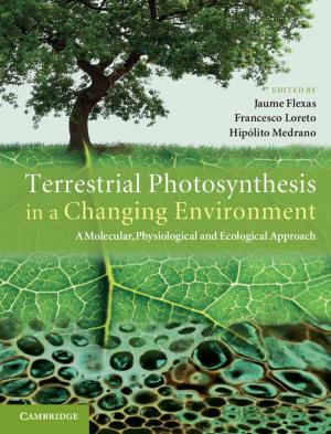 Cover of the book Terrestrial Photosynthesis in a Changing Environment by Daniel  Prat, Société Française  d'Orchidophilie, François  Dusak