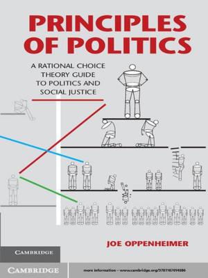 Cover of the book Principles of Politics by Professor Christopher Ellis, Professor James A. Stimson