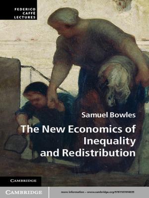 Cover of the book The New Economics of Inequality and Redistribution by Jean-Pierre Cuif, Yannicke Dauphin, James E. Sorauf