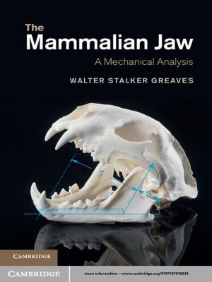 Cover of the book The Mammalian Jaw by Li-fang Zhang