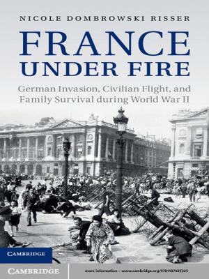 Cover of the book France under Fire by Luke Bretherton