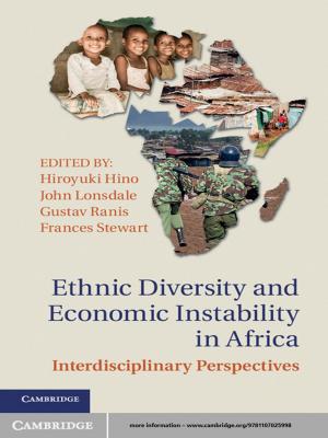 Cover of the book Ethnic Diversity and Economic Instability in Africa by Élisabeth Guazzelli, Jeffrey F. Morris