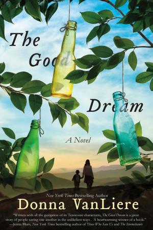 Cover of the book The Good Dream by Richard Rushfield