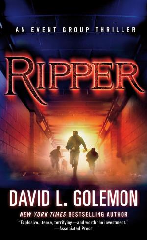 Cover of the book Ripper by Frank Röhr