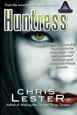 Book cover of Huntress: A Tale of Metamor City