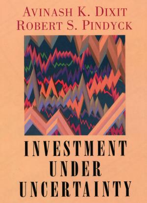 Cover of the book Investment under Uncertainty by Peter Ward