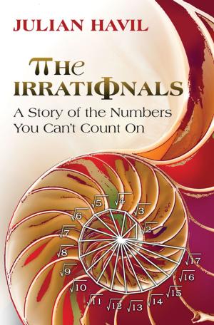 Cover of the book The Irrationals by Jean L. Cohen
