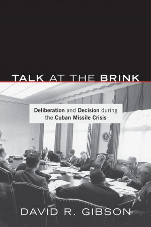 Cover of the book Talk at the Brink by Amin Saikal