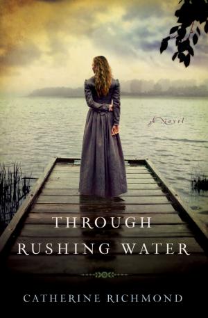 Cover of the book Through Rushing Water by Stasi Eldredge