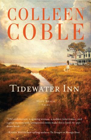 Cover of the book Tidewater Inn by Richard Lee, Jack Countryman