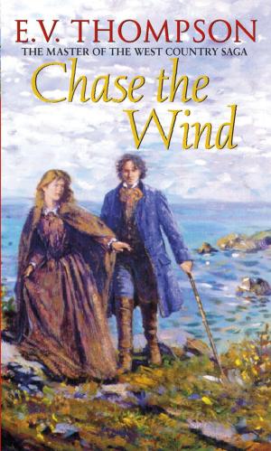 bigCover of the book Chase The Wind by 