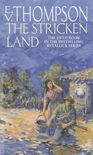 Cover of the book The Stricken Land by Jill Liddington