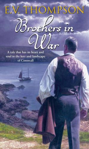 Cover of the book Brothers In War by Simon Brett