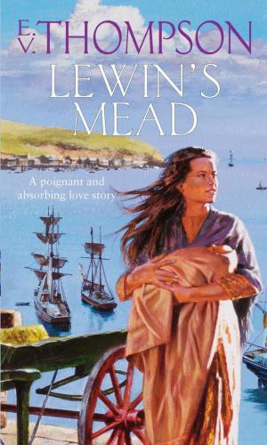 Cover of the book Lewin's Mead by Barbara Cardy