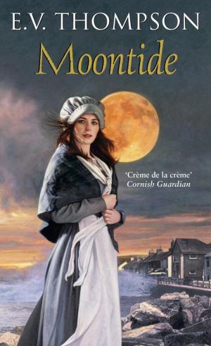 Cover of the book Moontide by Mike Ashley