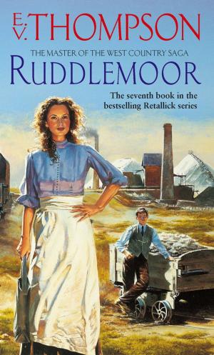 Cover of the book Ruddlemoor by E. V. Thompson