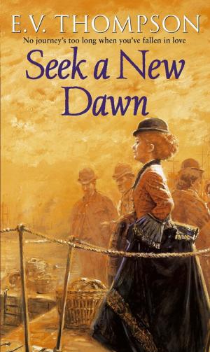 bigCover of the book Seek A New Dawn by 