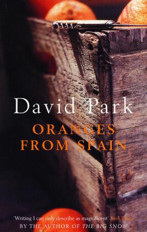 Cover of the book Oranges From Spain by Theresa Breslin, Paul Bunyan, Martin Travers, Ruth Moore, Paul Bunyan
