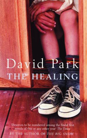 Cover of the book The Healing by Kevin J. Donnelly