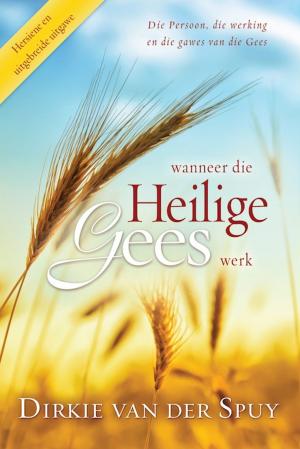 Book cover of Wanneer die Heilige Gees Werk