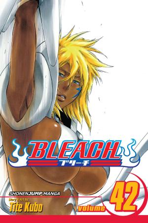 bigCover of the book Bleach, Vol. 42 by 