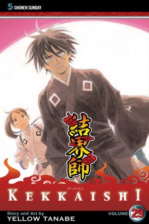 Cover of the book Kekkaishi, Vol. 29 by Kohske