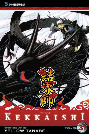 Cover of the book Kekkaishi, Vol. 31 by Ayano Yamane