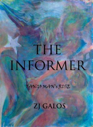 Book cover of The Informer