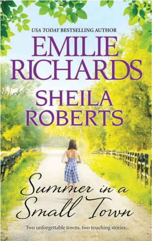 Book cover of Summer in a Small Town