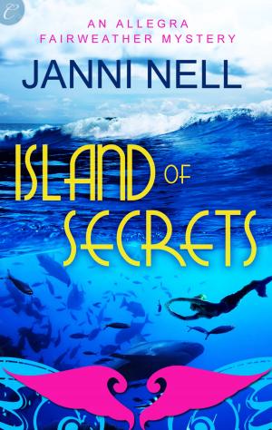 Cover of the book Island of Secrets by Wyll Andersen