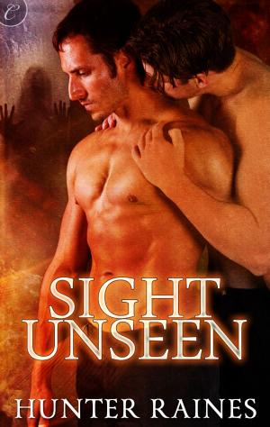 Cover of the book Sight Unseen by Stacy Gail