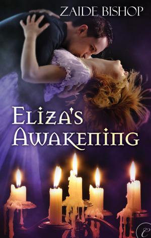 bigCover of the book Eliza's Awakening by 