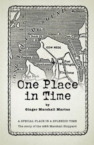 Cover of the book One Place in Time by Archbishop Dr. Deloris Devan Seiveright BH(L)