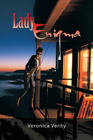 Cover of the book Lady Enigma by Robert S. Telford
