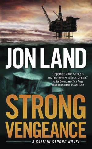 Cover of the book Strong Vengeance by J. A. Pitts