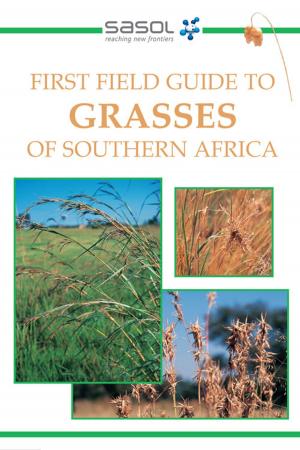 Cover of the book First Field Guide to Grasses of Southern Africa by Claire Robertson