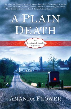 Cover of the book A Plain Death by Jeff Struecker, Alton Gansky