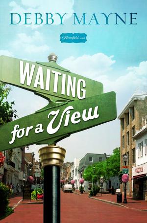 Book cover of Waiting for a View