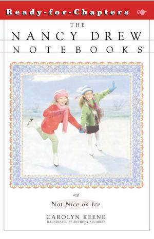 Cover of the book Not Nice on Ice by Stephanie Calmenson
