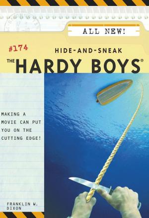 Book cover of Hide-and-Sneak