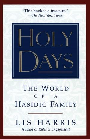 Cover of the book Holy Days by Jonah Berger