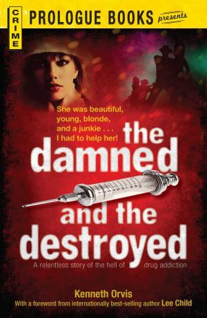 Cover of the book The Damned and the Destroyed by Eric Grzymkowski