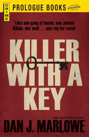Cover of the book Killer With a Key by Carina Wolff