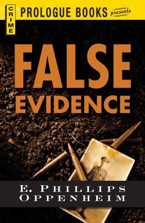 Cover of the book False Evidence by Susan Reynolds, Lauren Bakken