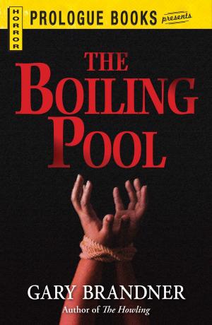 Book cover of The Boiling Pool